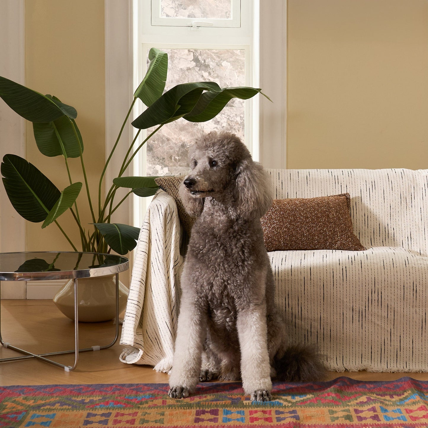 Copridivano in Morbida Chenille Jacquard con Design Elegante e Confort Avvolgente